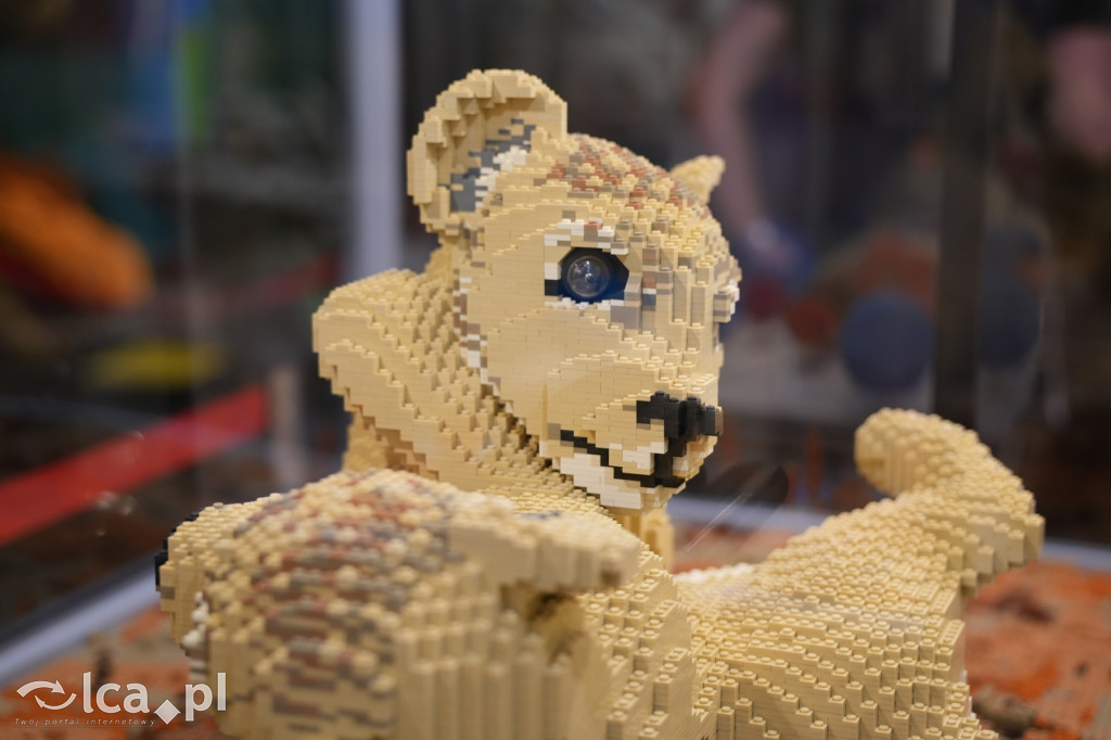 Wystawa Budowli z Klocków LEGO® w Sky Tower