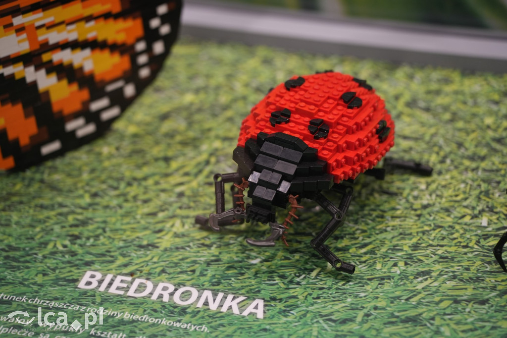 Wystawa Budowli z Klocków LEGO® w Sky Tower