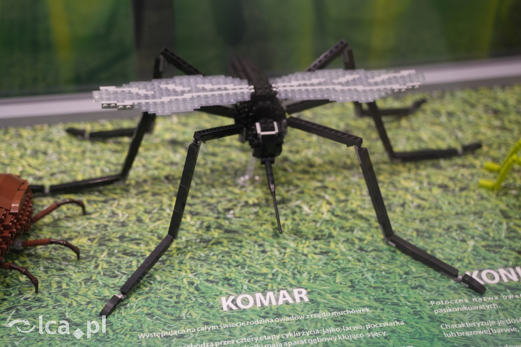 Wystawa Budowli z Klocków LEGO® w Sky Tower