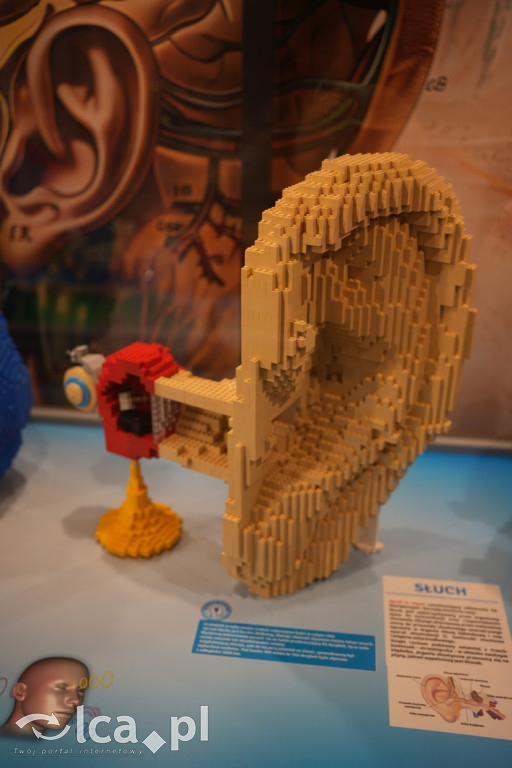 Wystawa Budowli z Klocków LEGO® w Sky Tower