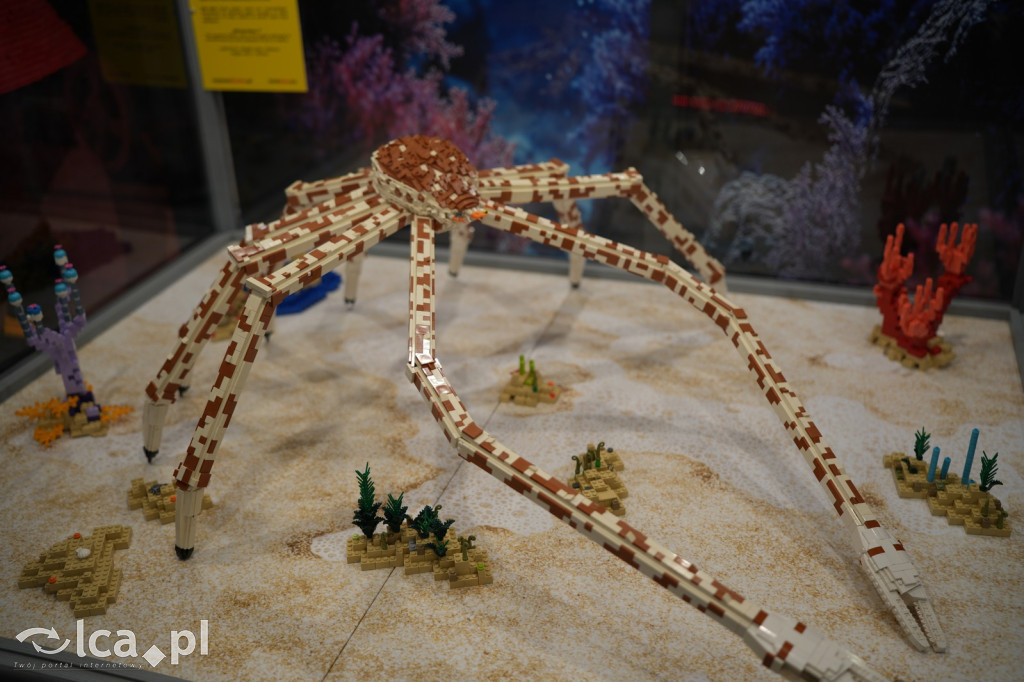 Wystawa Budowli z Klocków LEGO® w Sky Tower