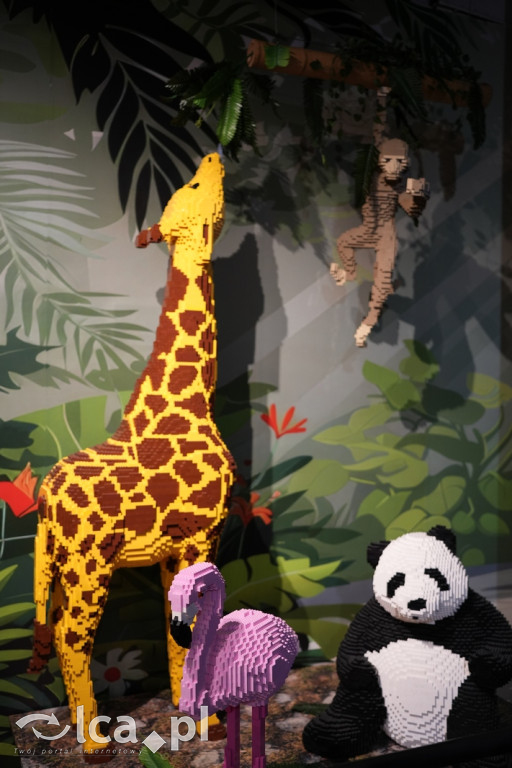 Wystawa Budowli z Klocków LEGO® w Sky Tower