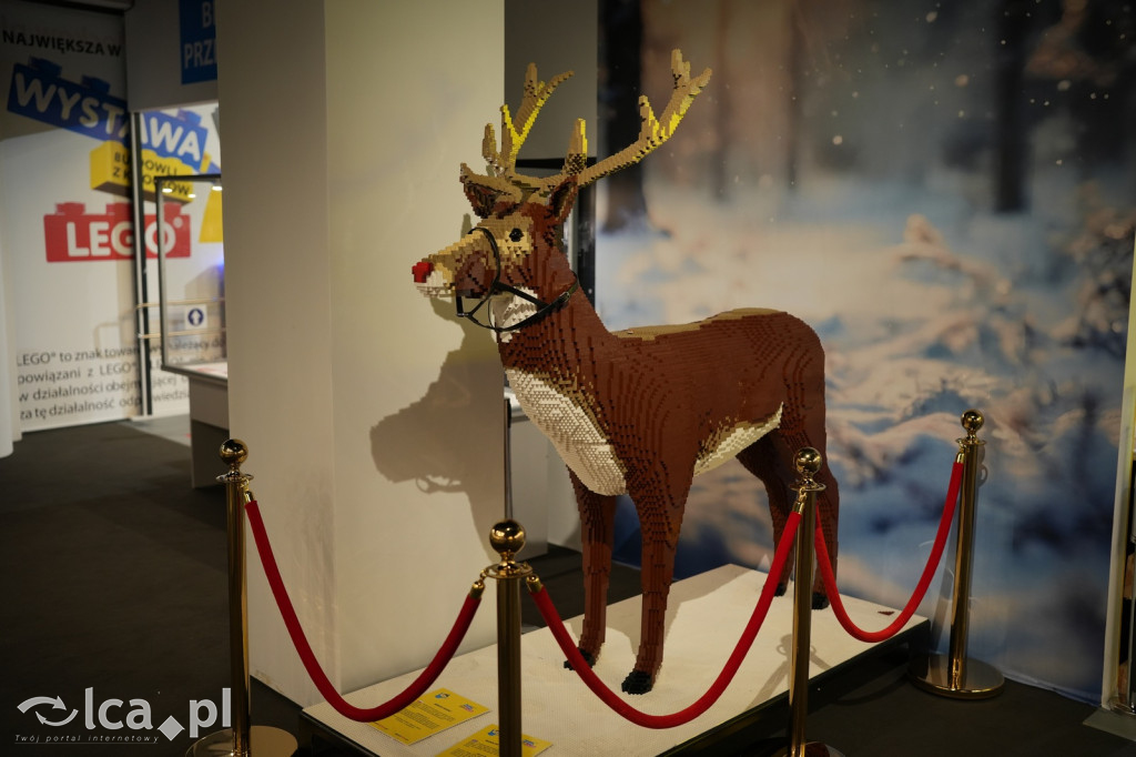 Wystawa Budowli z Klocków LEGO® w Sky Tower