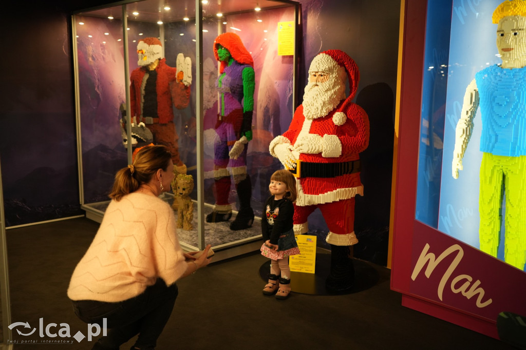 Wystawa Budowli z Klocków LEGO® w Sky Tower