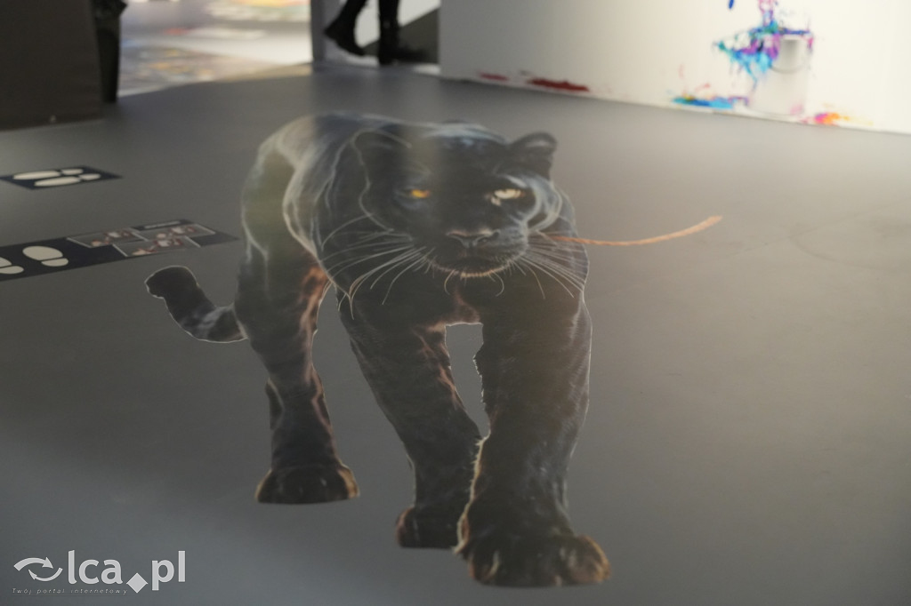 Wystawa Budowli z Klocków LEGO® w Sky Tower