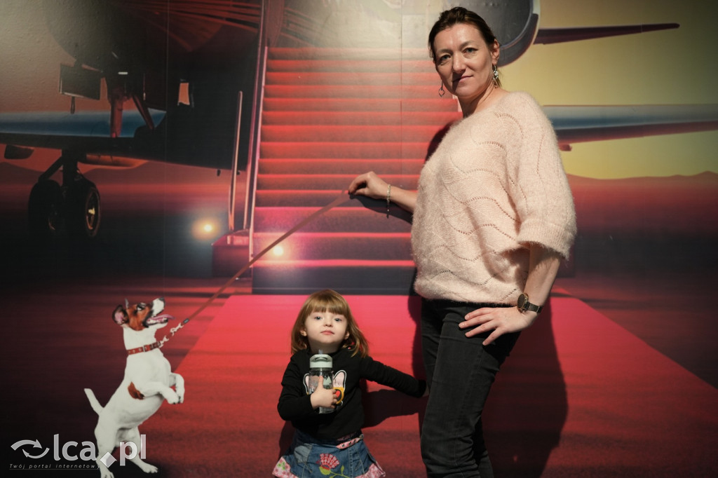 Wystawa Budowli z Klocków LEGO® w Sky Tower