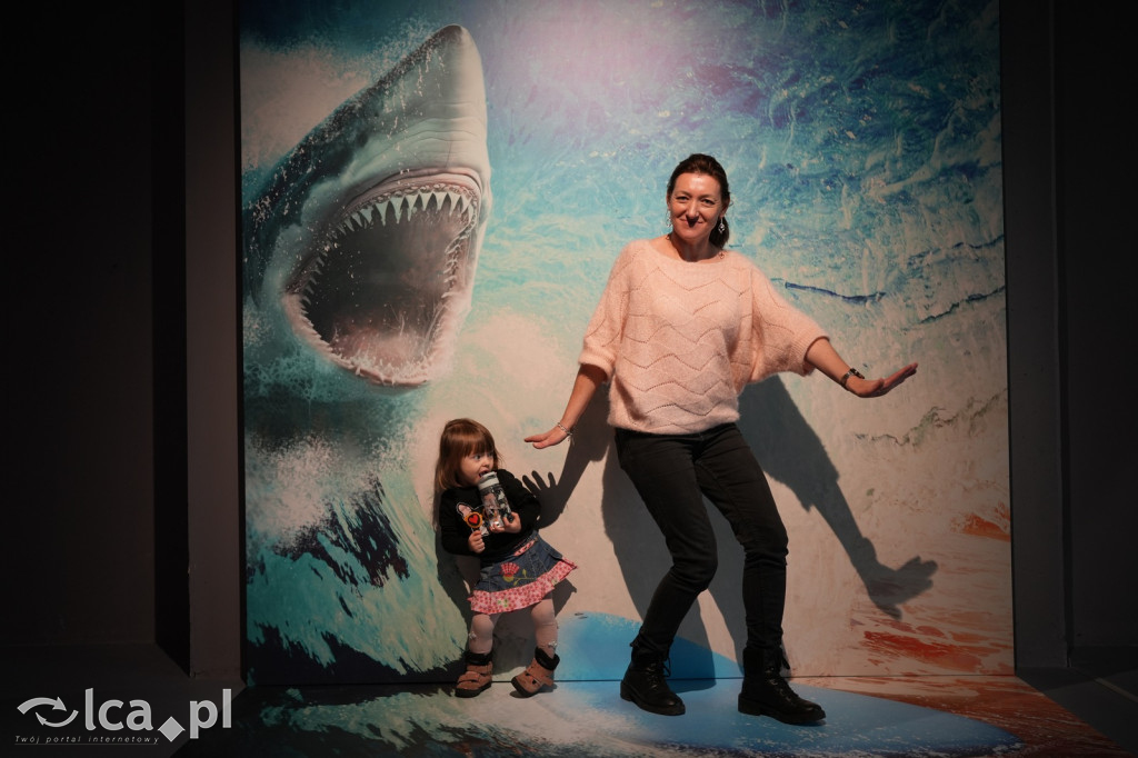 Wystawa Budowli z Klocków LEGO® w Sky Tower