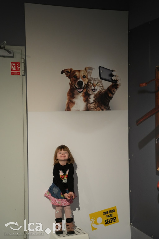 Wystawa Budowli z Klocków LEGO® w Sky Tower