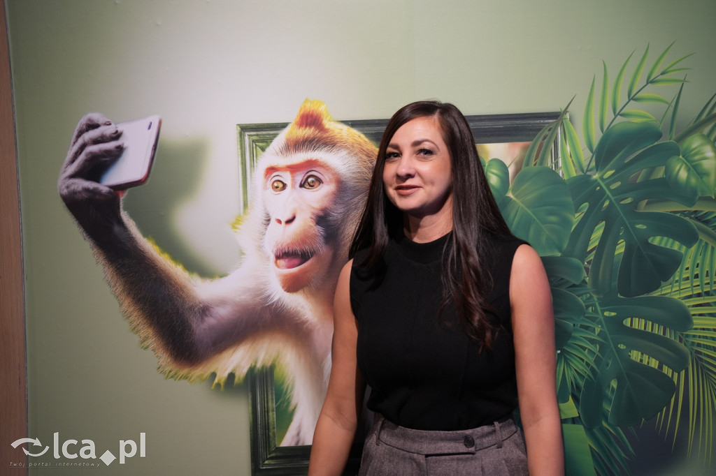 Wystawa Budowli z Klocków LEGO® w Sky Tower