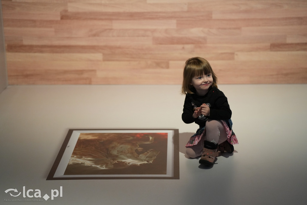 Wystawa Budowli z Klocków LEGO® w Sky Tower