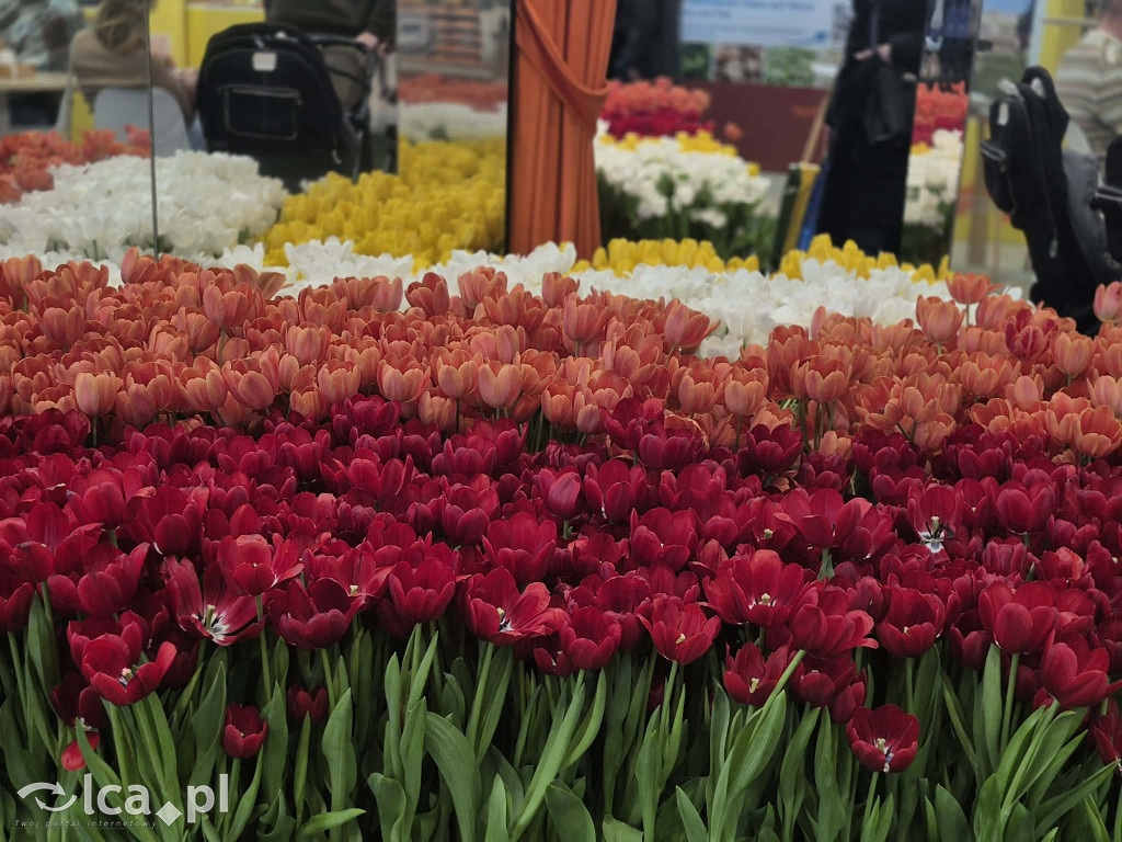 Dolny Śląsk na targach Grüne Woche