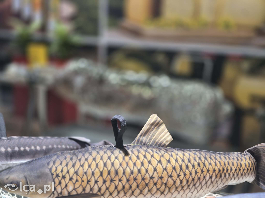 Dolny Śląsk na targach Grüne Woche