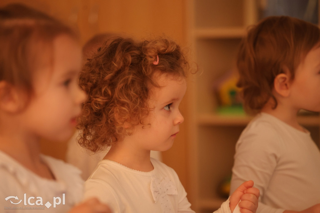 Sówki z programem dla Babć i Dziadków​