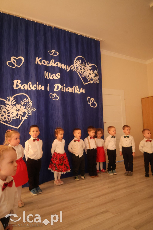 Sówki z programem dla Babć i Dziadków​