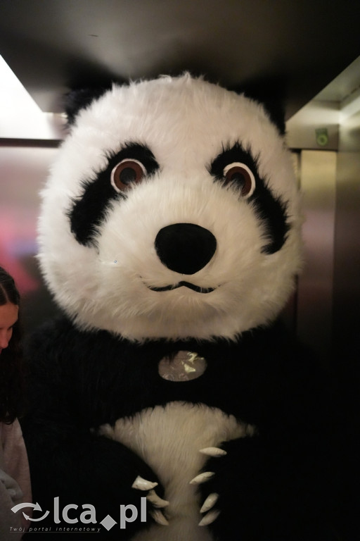 WOŚP w Legnicy gra pełną parą