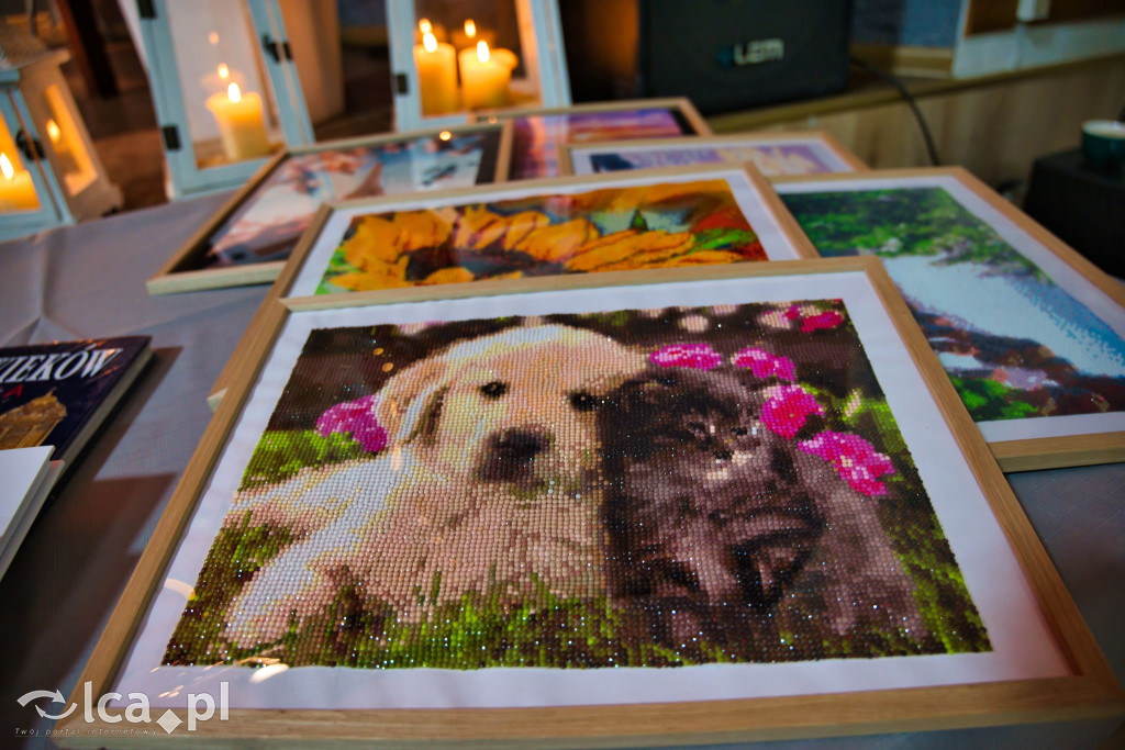 Prochowice zebrały blisko 11 tysięcy złotych