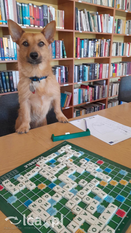 Szkolna biblioteka stała się dla nich domem