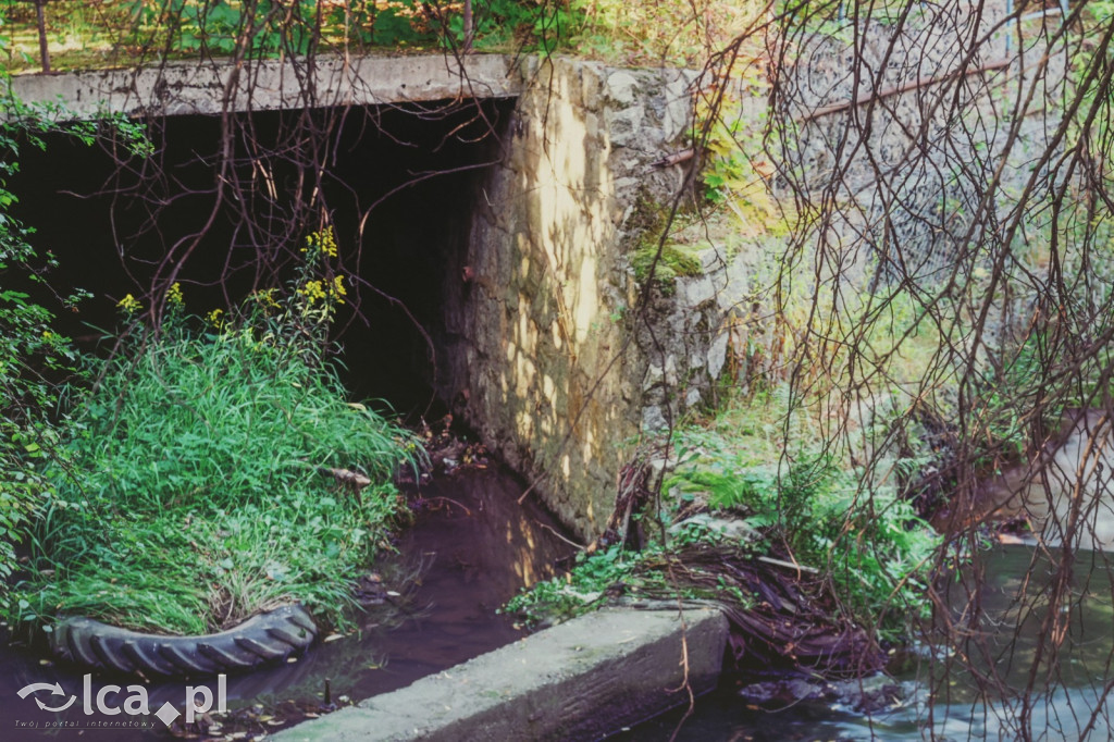 Woda jako lustro tożsamości