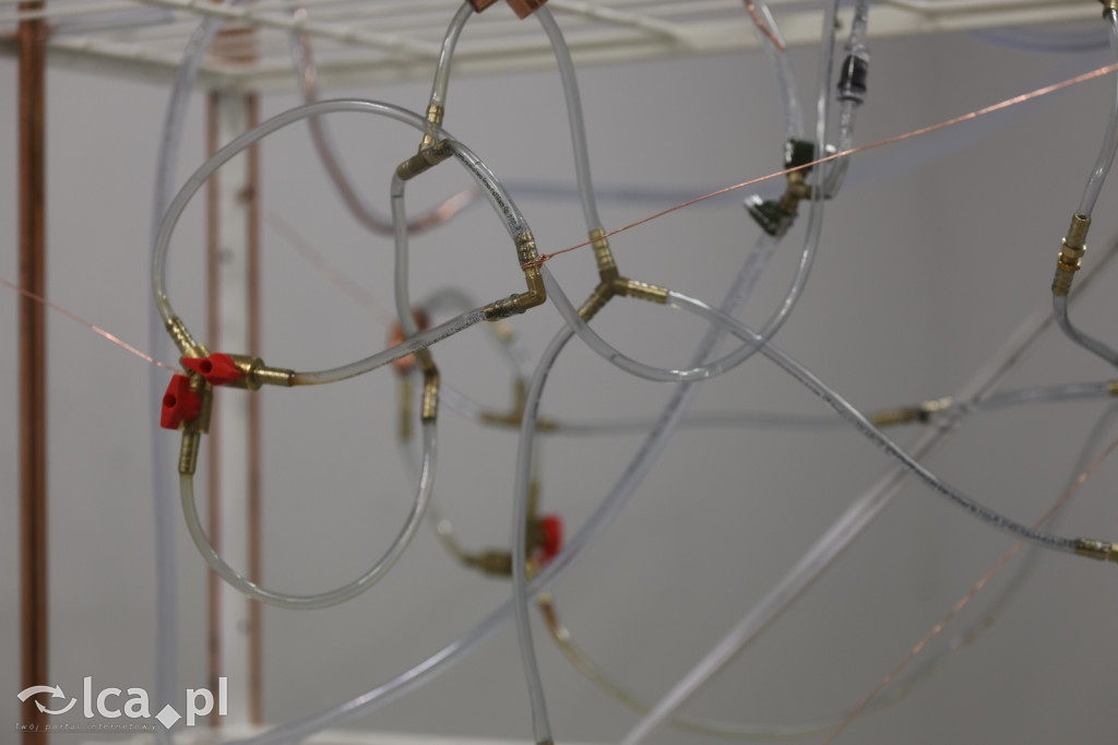 Woda jako lustro tożsamości