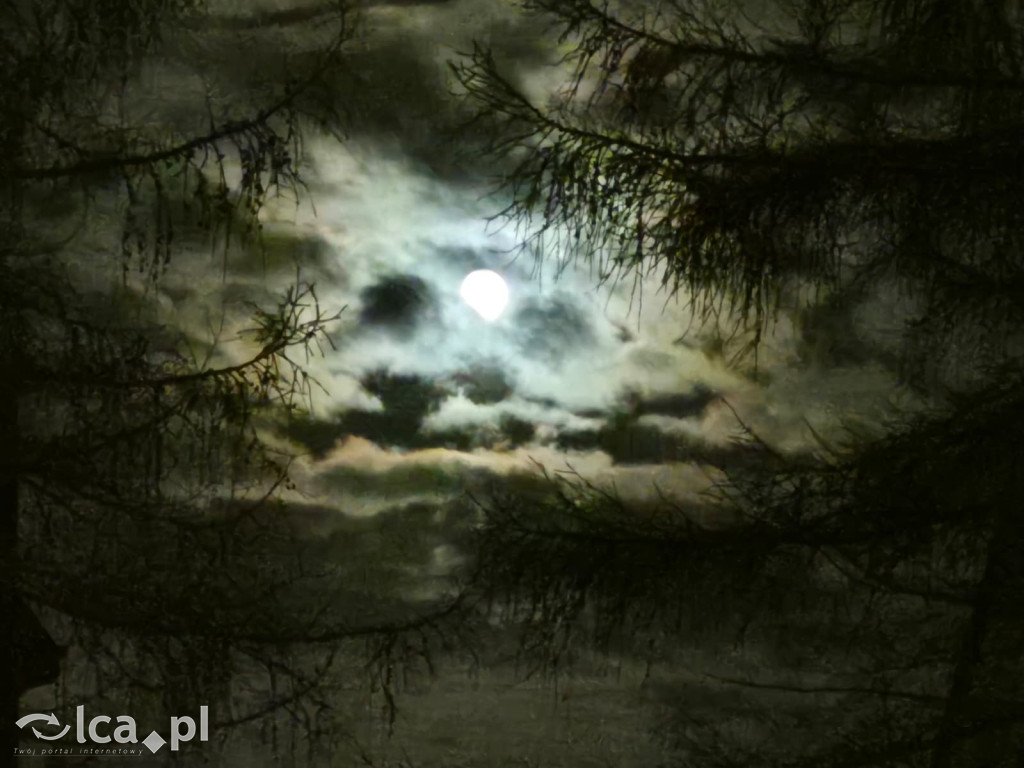 TPD i zimowy wyjazd dzieci pod Tatry