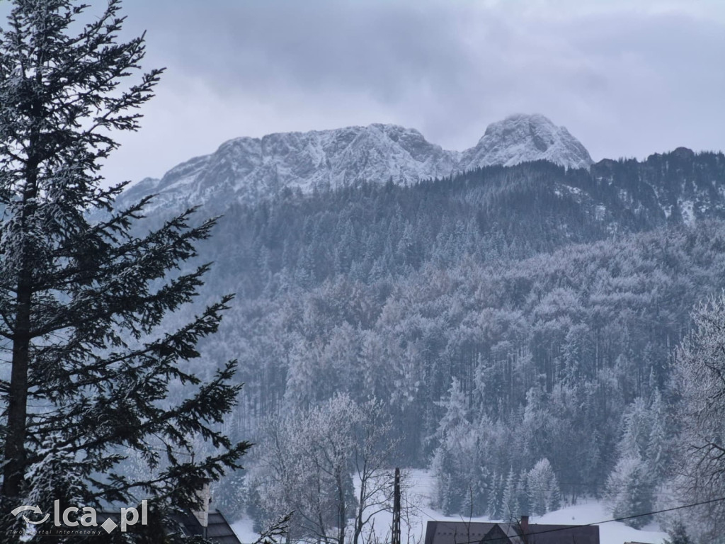 TPD i zimowy wyjazd dzieci pod Tatry
