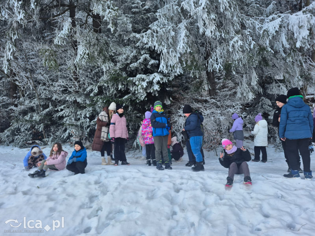TPD i zimowy wyjazd dzieci pod Tatry