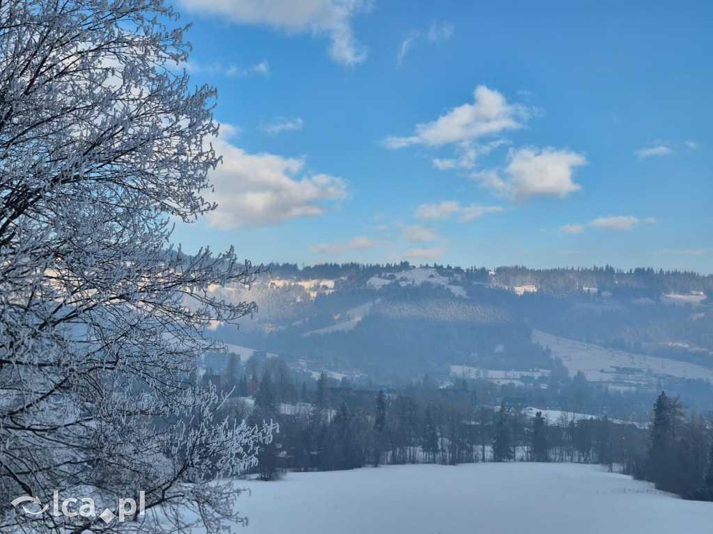 TPD i zimowy wyjazd dzieci pod Tatry