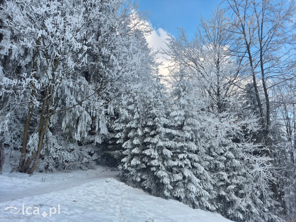 TPD i zimowy wyjazd dzieci pod Tatry