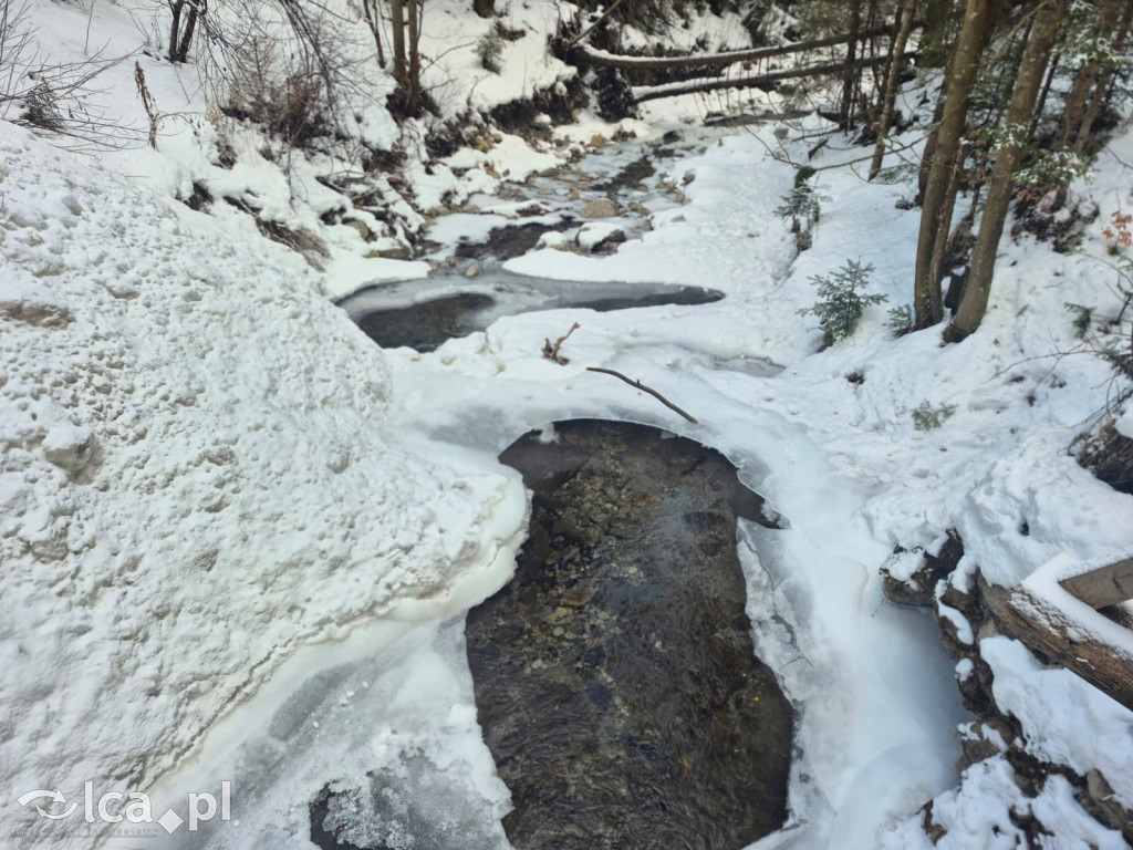 TPD i zimowy wyjazd dzieci pod Tatry