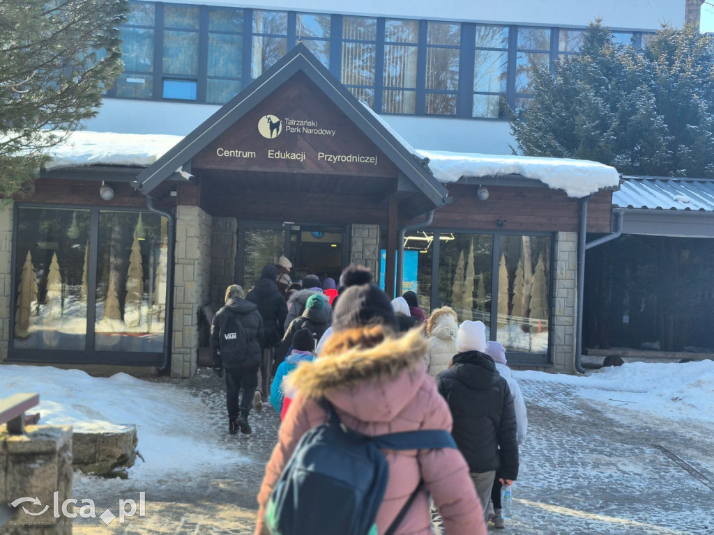 TPD i zimowy wyjazd dzieci pod Tatry