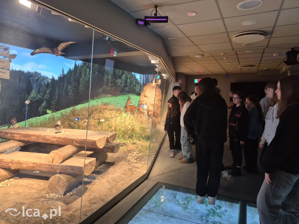 TPD i zimowy wyjazd dzieci pod Tatry