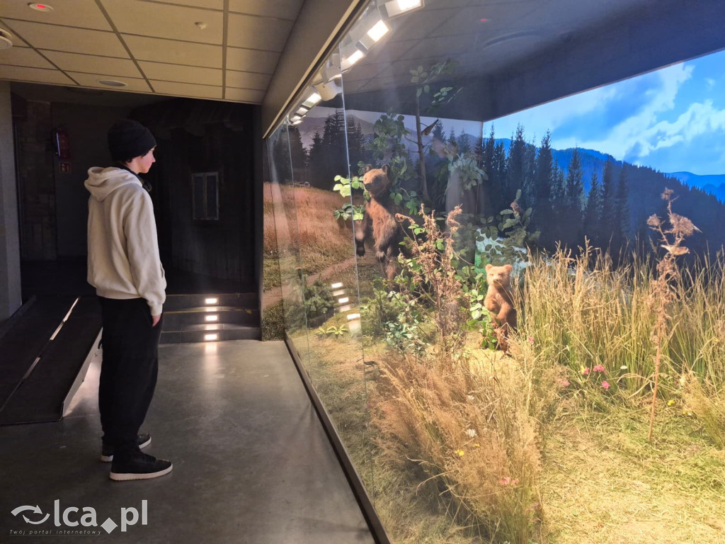 TPD i zimowy wyjazd dzieci pod Tatry