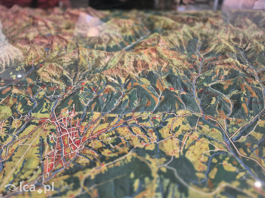 TPD i zimowy wyjazd dzieci pod Tatry