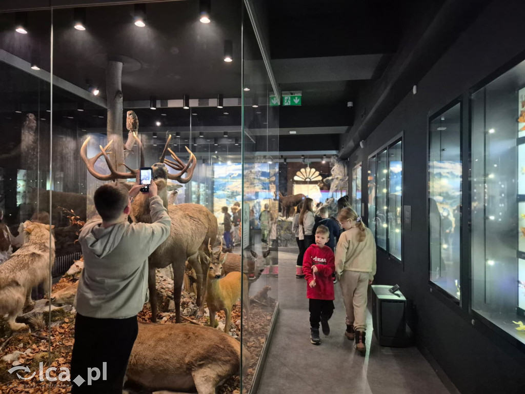 TPD i zimowy wyjazd dzieci pod Tatry