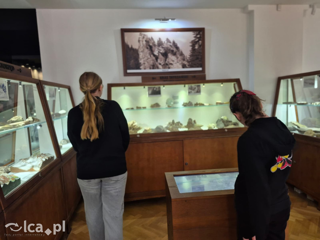 TPD i zimowy wyjazd dzieci pod Tatry