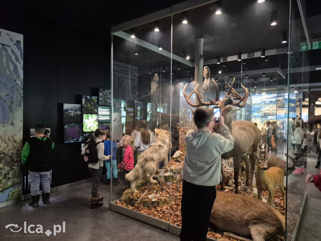 TPD i zimowy wyjazd dzieci pod Tatry