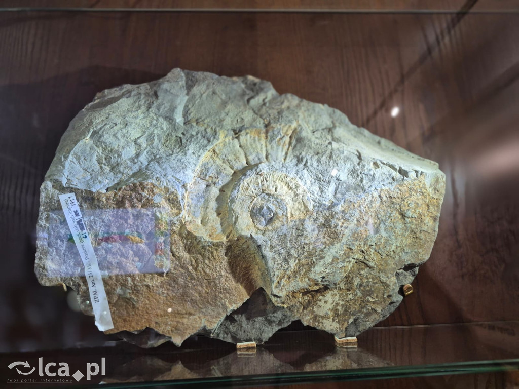 TPD i zimowy wyjazd dzieci pod Tatry