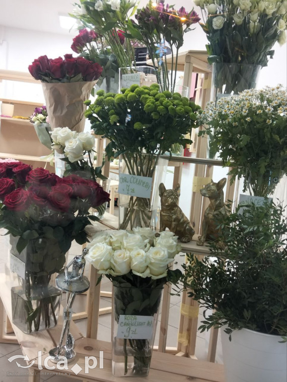 Ekskluzywna florystyka w sercu Legnicy