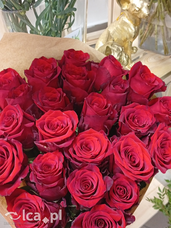 Ekskluzywna florystyka w sercu Legnicy