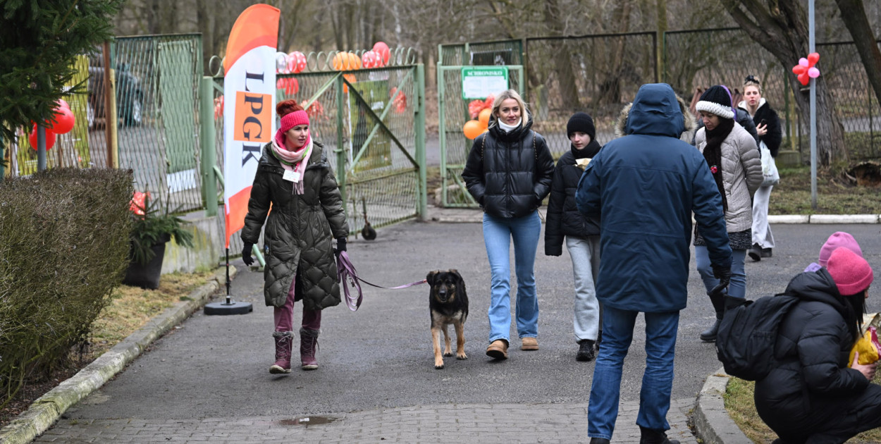 „Walentynki z Bezdomniakiem”