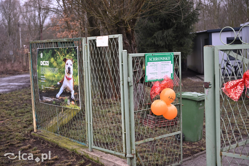 „Walentynki z Bezdomniakiem”