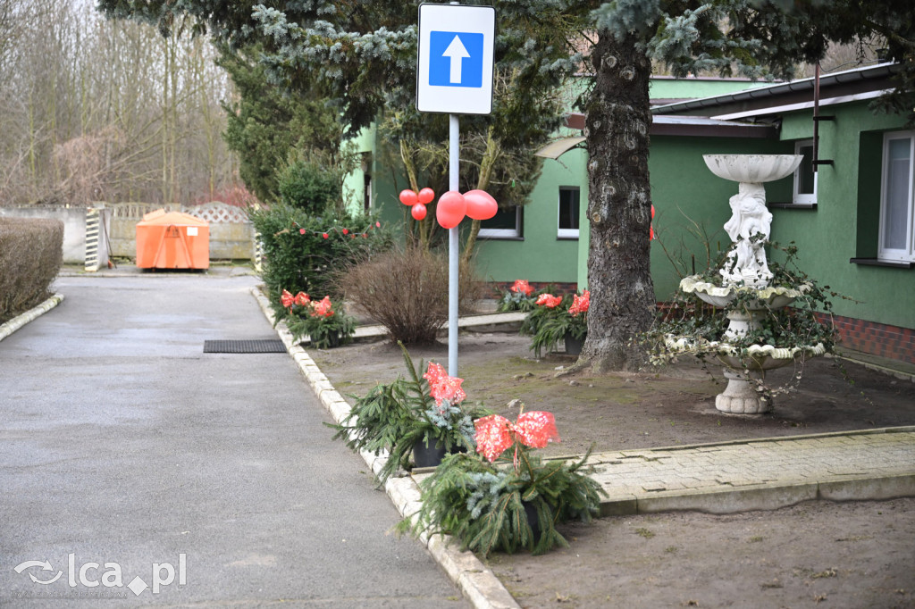 „Walentynki z Bezdomniakiem”