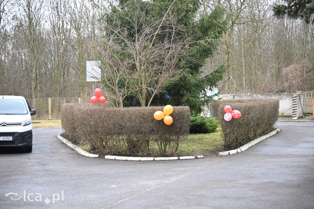 „Walentynki z Bezdomniakiem”