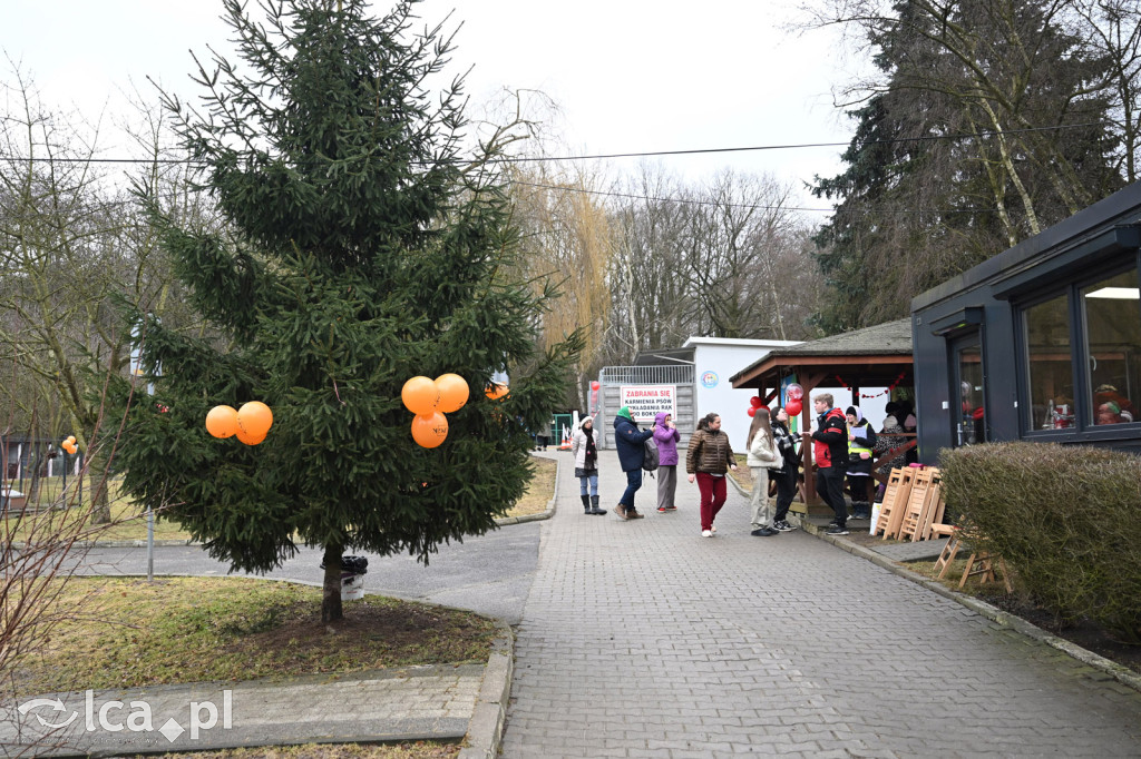 „Walentynki z Bezdomniakiem”
