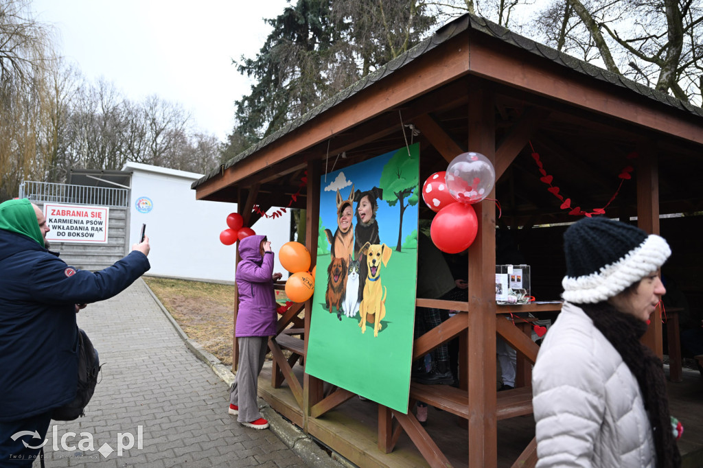 „Walentynki z Bezdomniakiem”