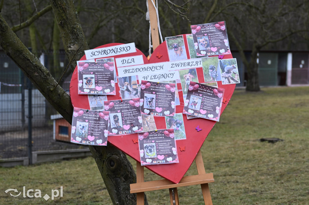 „Walentynki z Bezdomniakiem”