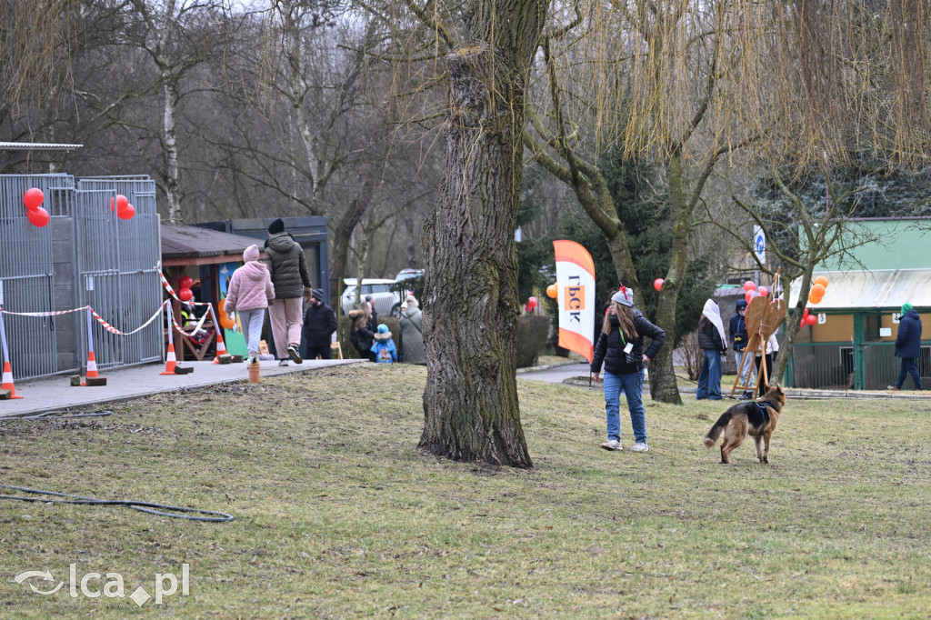 „Walentynki z Bezdomniakiem”