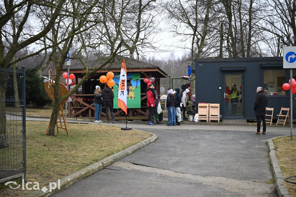 „Walentynki z Bezdomniakiem”
