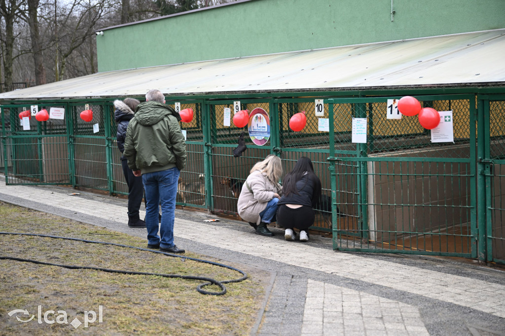 „Walentynki z Bezdomniakiem”
