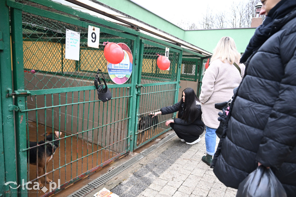 „Walentynki z Bezdomniakiem”